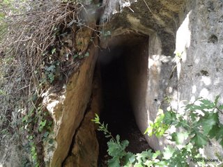traro-30-12-2021 18-27-46